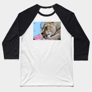 Lion / Swiss Artwork Photography Baseball T-Shirt